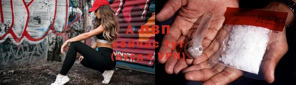 PSILOCYBIN Слюдянка