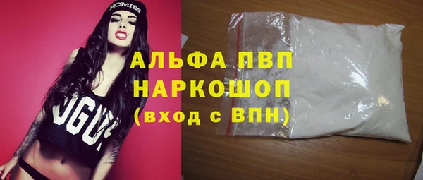 шишки Снежногорск