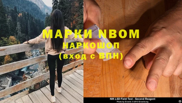 mdpv Снежинск