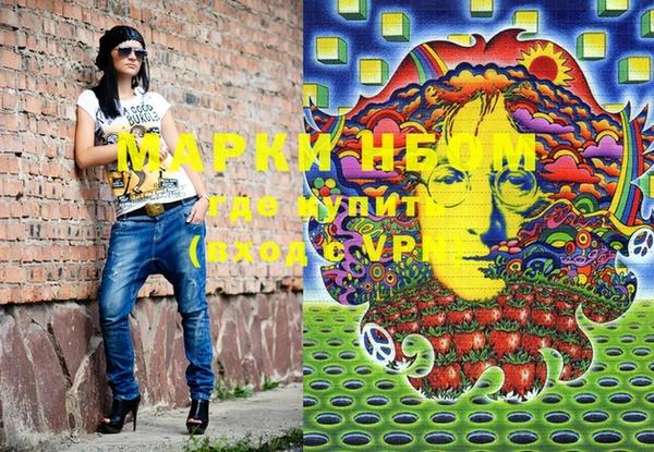 шишки Снежногорск