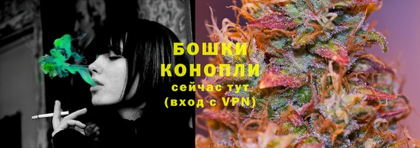 PSILOCYBIN Слюдянка
