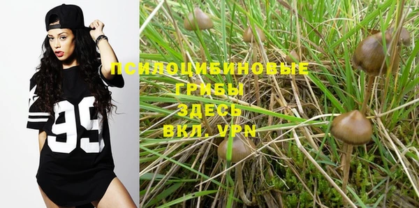 PSILOCYBIN Слюдянка
