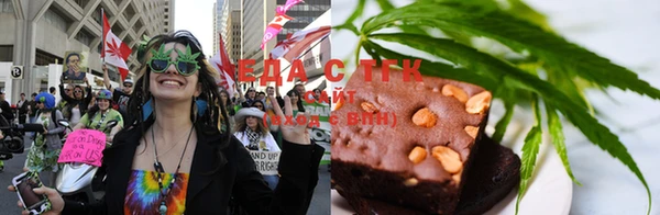 шишки Снежногорск